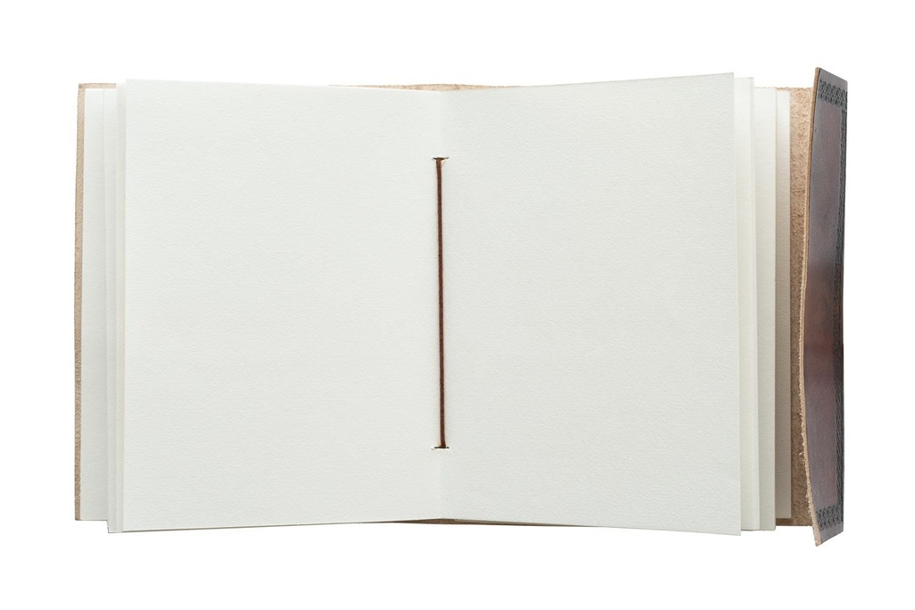 8435497292041_3.jpg