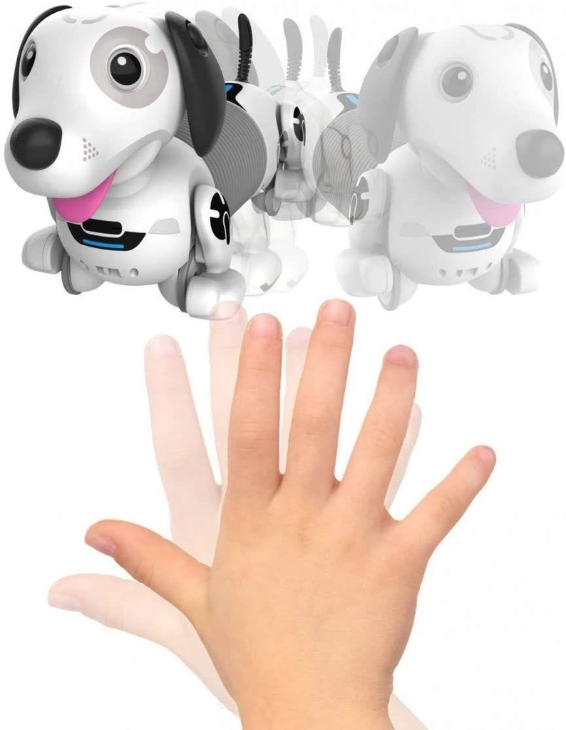 4891813885863_3.jpg