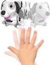 4891813885863_3.jpg