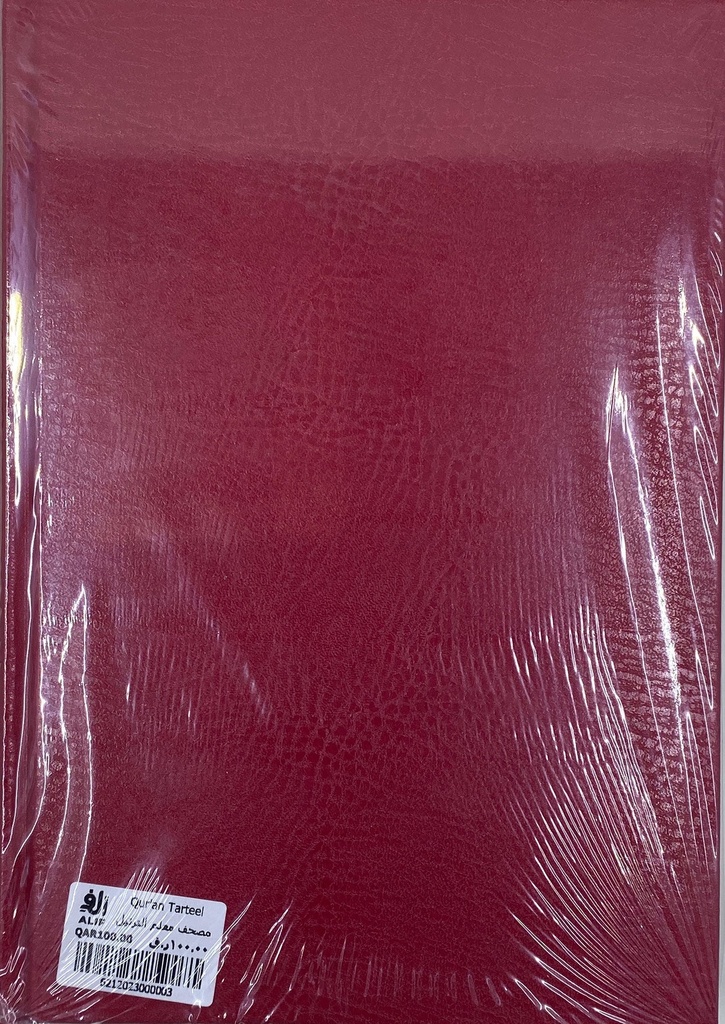 6212023000003_6.jpg