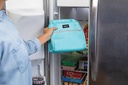 Hampton Lunch Bag Mint