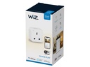 WiZ Smart Plug Type-G , APP, & Voice Control, Sechduled and automate, Energy Optimization