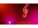 WiZ Smart Neon flex strip 3m kit, APP, Voice control, space senser
