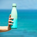 BOUTEILLE 500 ML SORBET MENTHE/8507