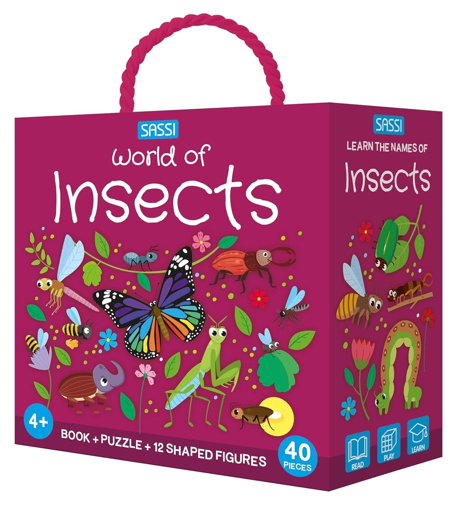 Q-BOX -INSECTS
