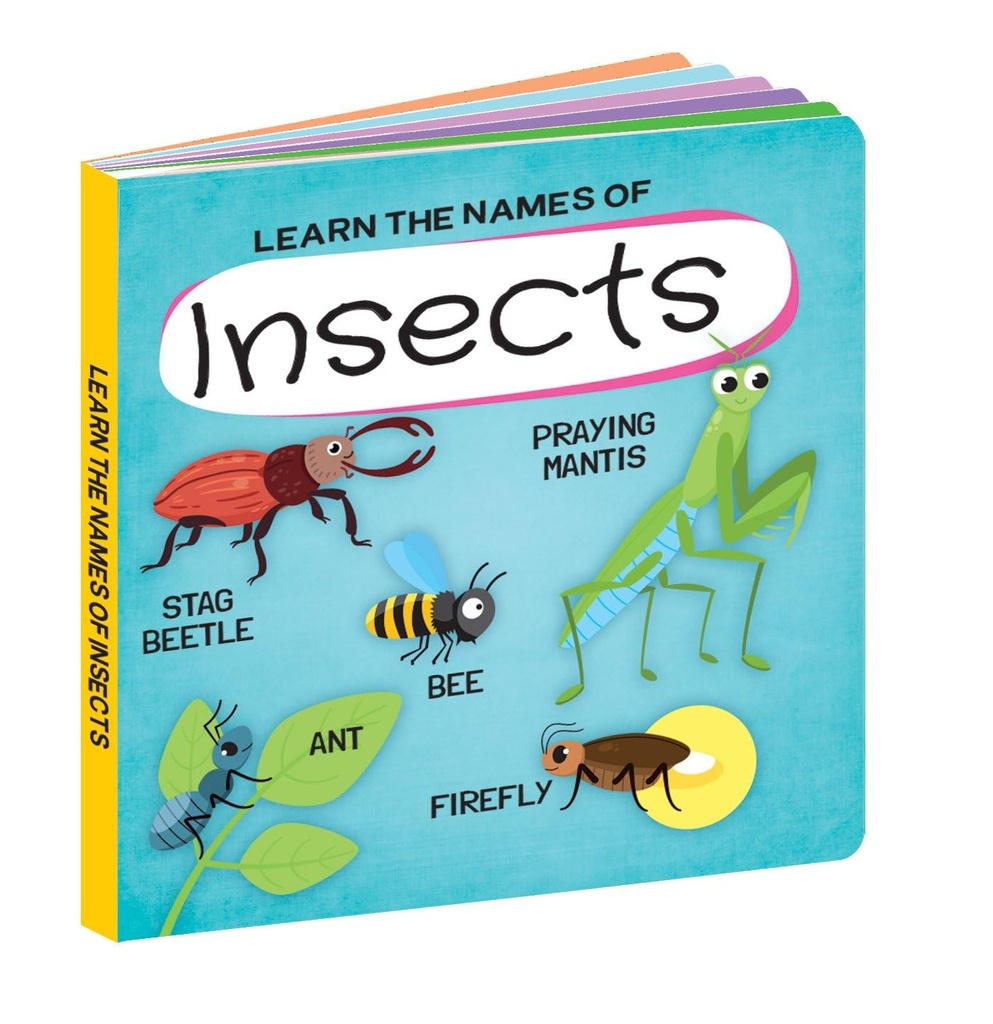 Q-BOX -INSECTS