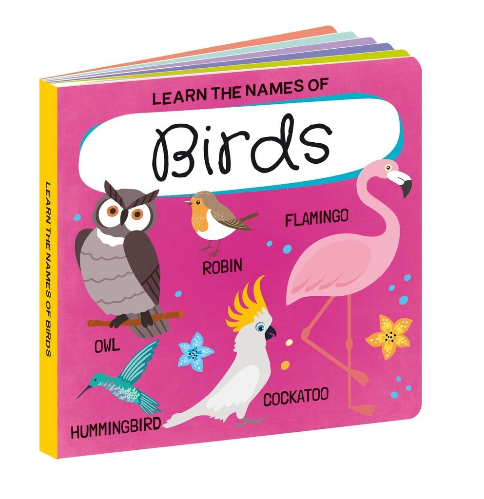 Q-BOX - BIRDS