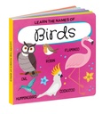 Q-BOX - BIRDS