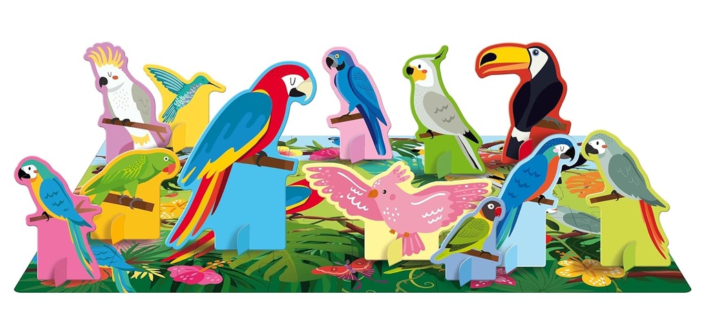 Q-BOX - BIRDS