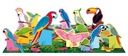 Q-BOX - BIRDS