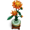 10368 Chrysanthemum