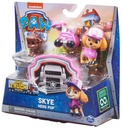 PAW PATROL BIG TRUCK HERO PUPS ASST.