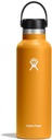 Vacuum Bottle 620ml Fossil STD Mouth