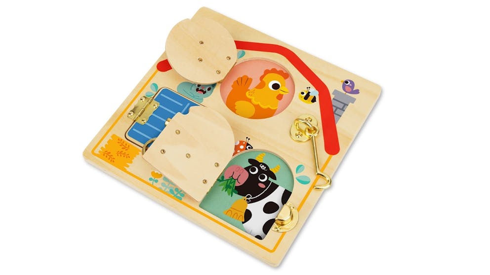 LATCHES ACTIVITY BOARD