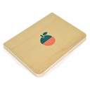 WOODEN ACTIVITY CENTRE