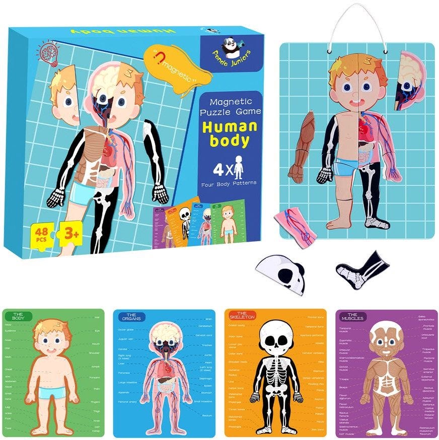 PJ008-1 Magnetic Puzzle Game -Human Body 49700293