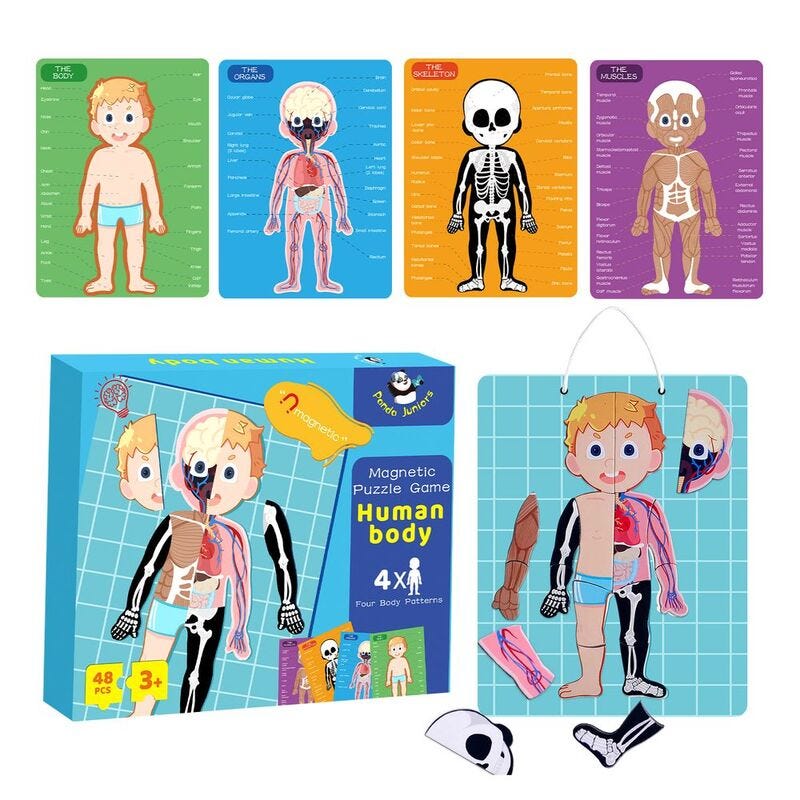 PJ008-1 Magnetic Puzzle Game -Human Body 49700293