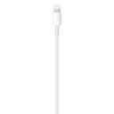 Apple USB C to Lightning Cable 2m