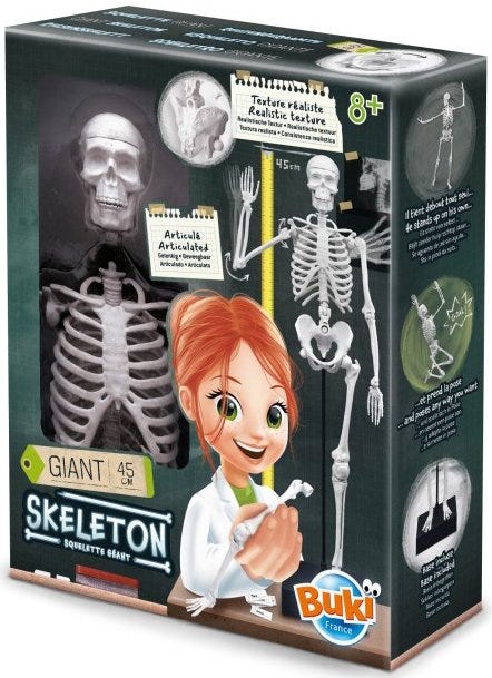BUKI SKELETON 45 CM