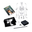 BUKI SKELETON 45 CM