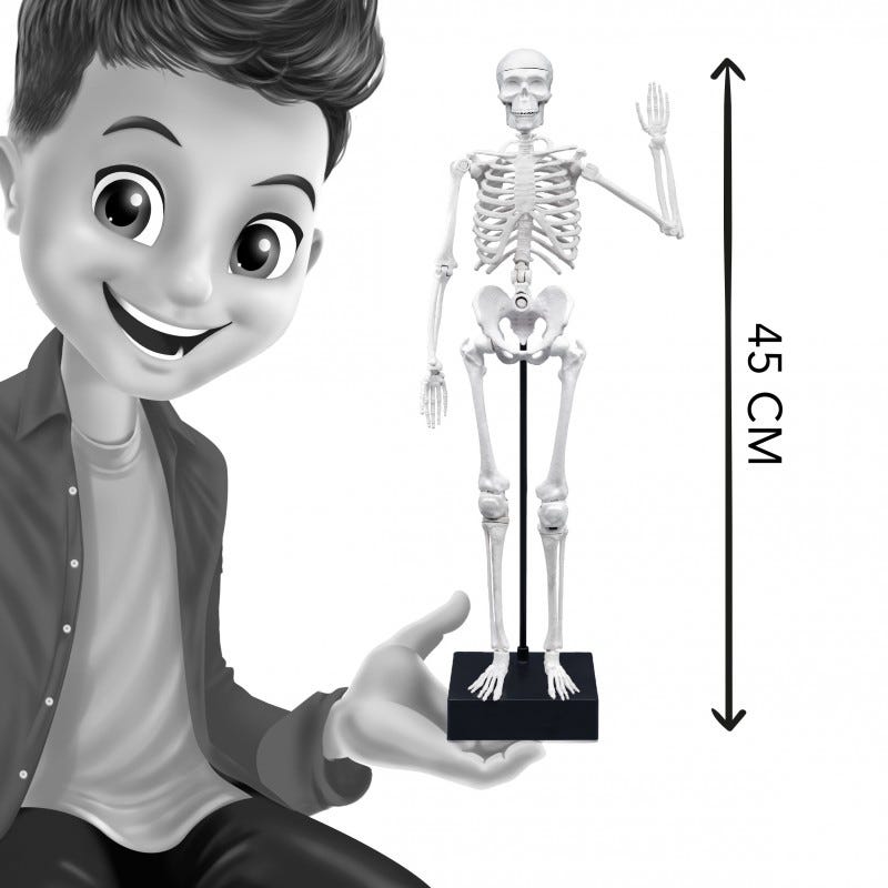 BUKI SKELETON 45 CM