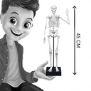 BUKI SKELETON 45 CM