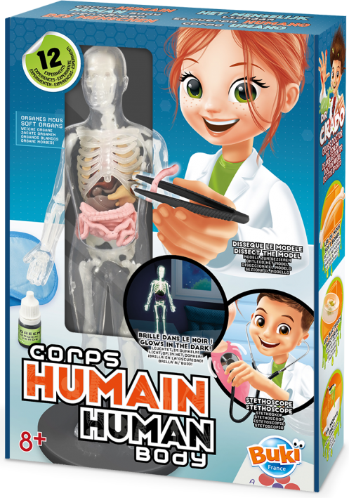 BUKI HUMAN BODY