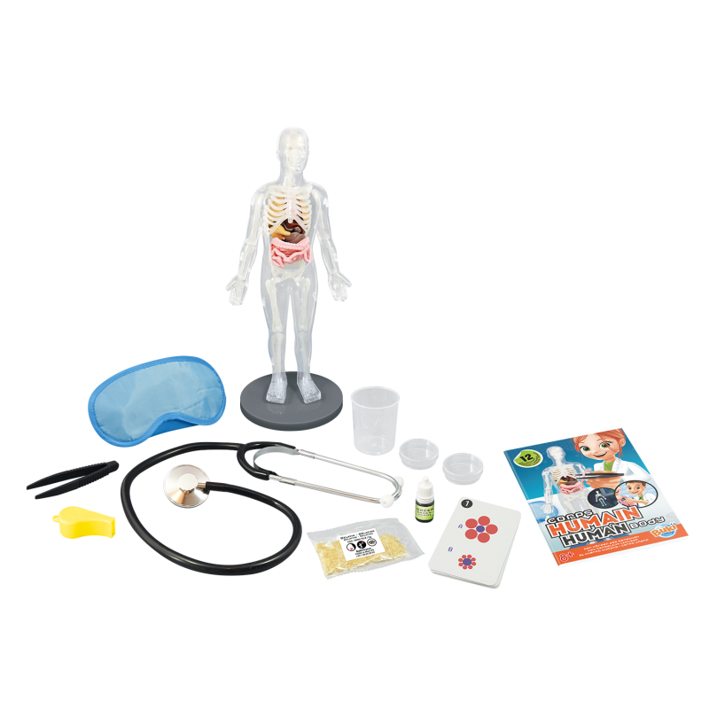 BUKI HUMAN BODY
