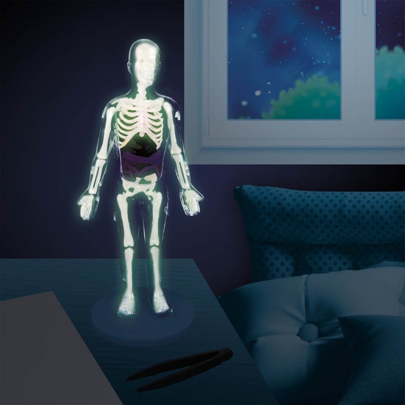 BUKI HUMAN BODY