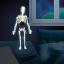 BUKI HUMAN BODY