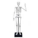 BUKI SKELETON 45 CM