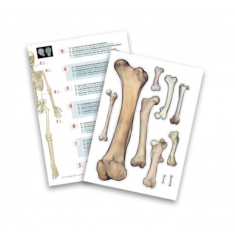 BUKI SKELETON 45 CM