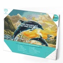 Dotting Diamond Set Dolphin Sunset kit with frame 31.50 x 42.00 CM