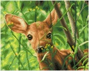 Dotting Diamond Set Forest Babe kit with frame 33.00 x 41.00 CM