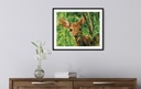 Dotting Diamond Set Forest Babe kit with frame 33.00 x 41.00 CM