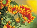 Dotting Diamond Set Field Daisies kit with frame 35.00 x 45.00 CM