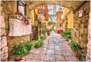 Dotting Diamond Set Rustic Street kit with frame 36.00 x 52.00 CM