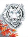 Dotting Diamond Set White Tiger in Autumn with Frame 45.72 x 35.50 CM