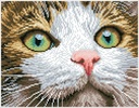 Dotting Diamond Set Green Eyed Beauty with Frame 35.50 x 27.70 CM
