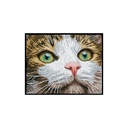 Dotting Diamond Set Green Eyed Beauty with Frame 35.50 x 27.70 CM