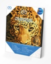 Dotting Diamond Set Jaguar Prowl with Frame 35.50 x 27.50 CM