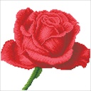 Dotting Diamond Set Rose Bud with Frame 30.50 x 30.50 CM