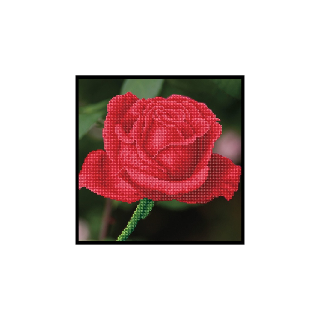 Dotting Diamond Set Rose Bud with Frame 30.50 x 30.50 CM
