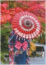 Dotting Diamond Autumn Elegance 45.00 x 32.00 CM