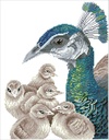 Dotting Diamond Mother on guard 35.00 x 45.00 CM