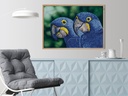 Dotting Diamond Blue Hyacinth Macaws 37.00 x 52.00 CM