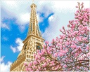 Dotting Diamond La tour Eiffel 40.00 x 50.00 CM