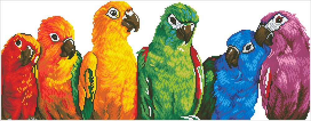 Dotting Diamond Rainbow Parrots 30.00 x 77.00 CM