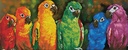 Dotting Diamond Rainbow Parrots 30.00 x 77.00 CM