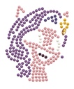 Dotting Diamond Set My little Pony Activity Set - Sparkle on! 0.00 x 0.00 CM